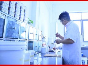 技術(shù)優(yōu)勢